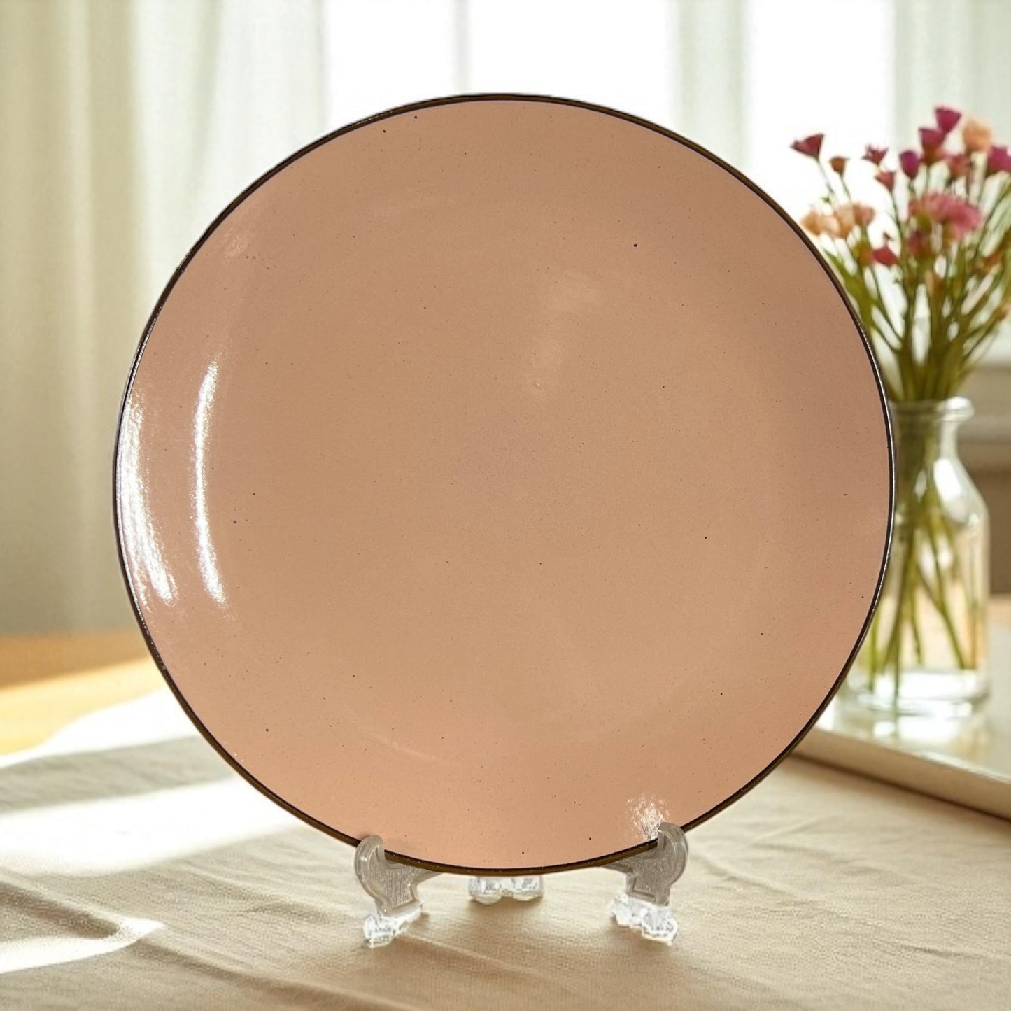 Coffee Brown Dinner Plates Set of 4