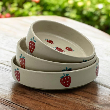 Red Strawberry Salad Snack Tray Set