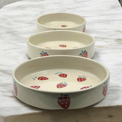 Red Strawberry Salad Snack Tray Set
