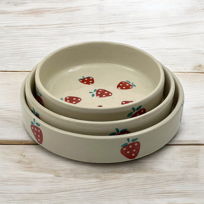 Red Strawberry Salad Snack Tray Set