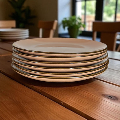 Coffee Brown Dinner Plates Set of 6