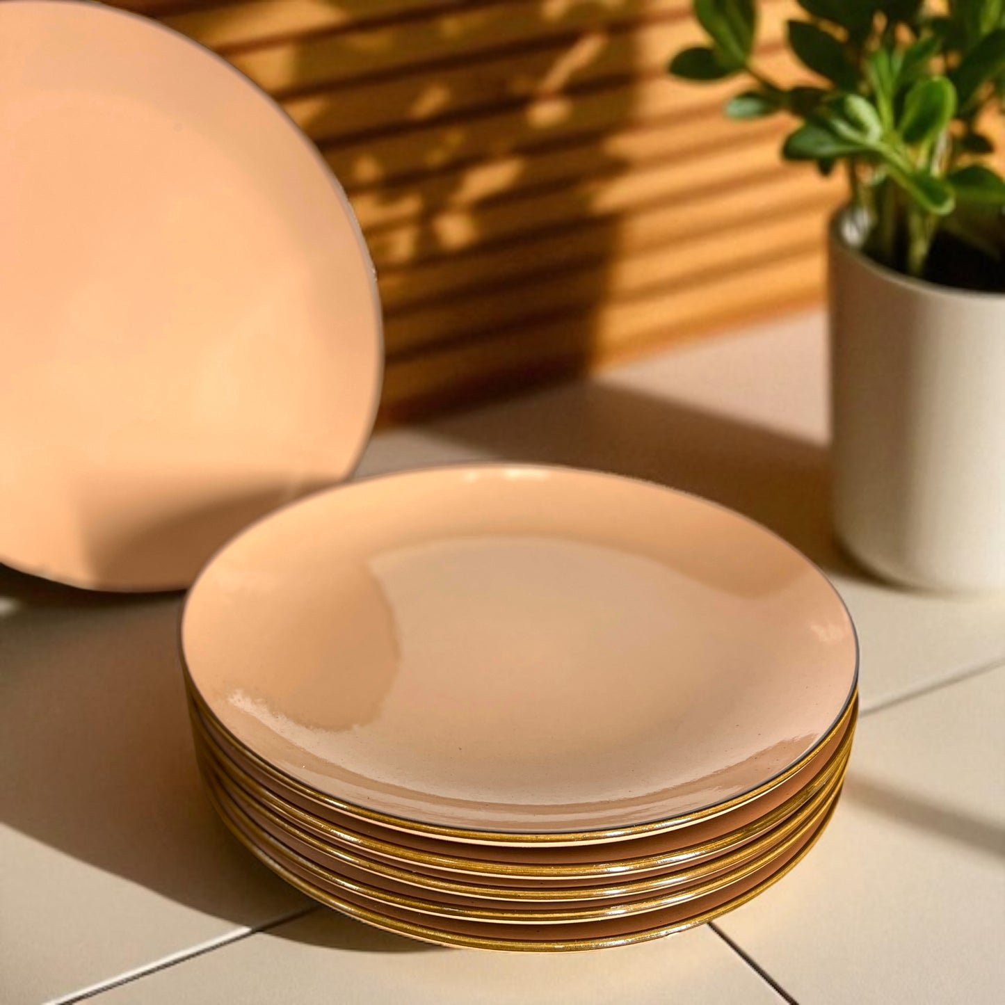 Coffee Brown Dinner Plates Set of 6