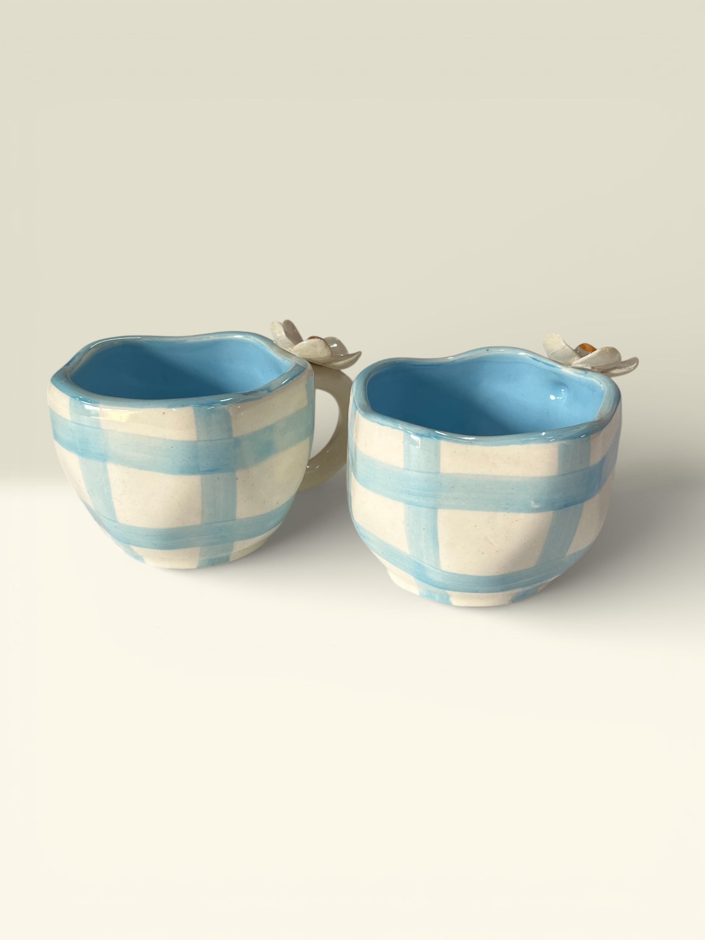 Blue Check Mugs Pack Of 2
